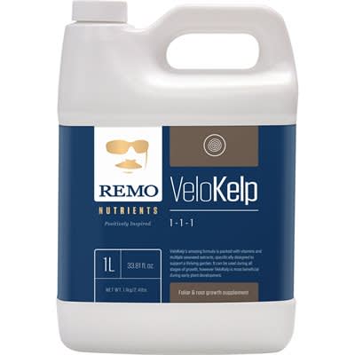 Remo Velo Kelp